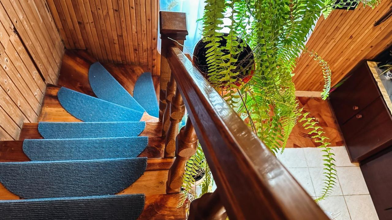 Napfeny Vendeghaz Hotel Gyor Bagian luar foto